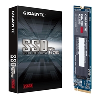 Gigabyte 256GB M.2 PCIe NVMe SSD